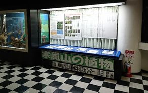 男鹿半島・大潟ジオパーク展示室